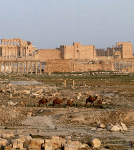 帕爾米拉古城遺址