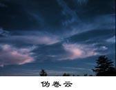 偽捲雲(Ci not)