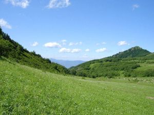 百花山自然風景區