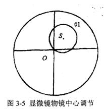 球晶結構