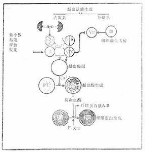 出血性疾病