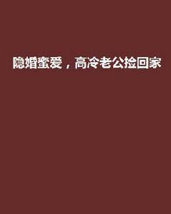 隱婚蜜愛，高冷老公撿回家