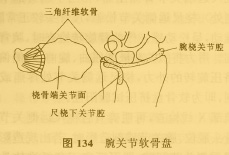 （圖）髕股關節軟骨損傷