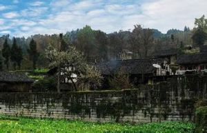 蘄縣古城遺址