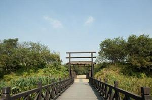 淹城遺址[春秋淹城遺址公園]