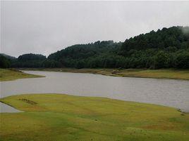 大浪壩森林公園