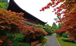 白雲山林場[江西省吉安市青原區白雲山林場]