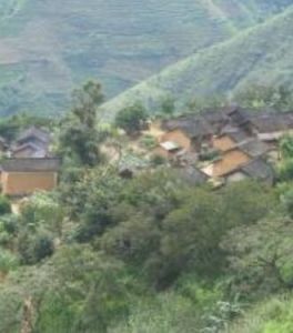 吃水箐自然村 吃水箐自然村