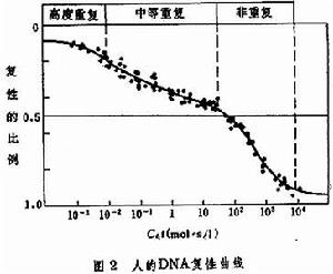 脫氧核糖核酸重複順序