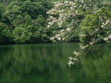 錢江源森林公園