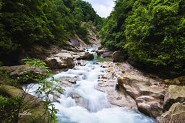 湄公河[國際大河]