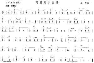 可愛的小白楊