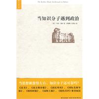 當知識分子遇到政治[2005年新星出版社出版圖書]