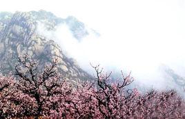 鳳凰嶺[山東景點]