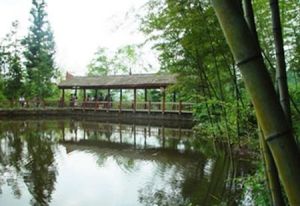 甘溪山森林公園