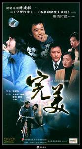 完美[2005年袁泉、王學兵主演電視劇]