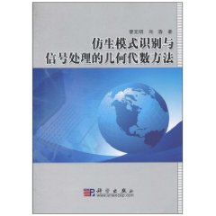 仿生模式識別與信號處理的幾何代數方法