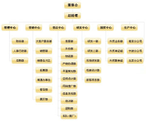 浙江中棟控股集團組織機構