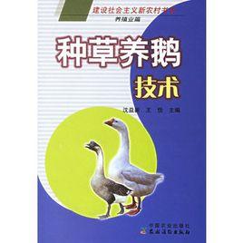 種草養鵝技術 種草養鵝技術