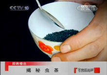 中央電視台專題報導三葉蟲茶