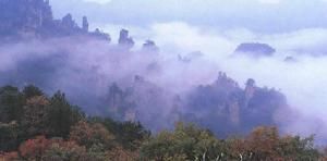 天子山自然保護區——雲霧