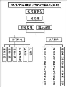 福建中文拍賣有限公司公司結構