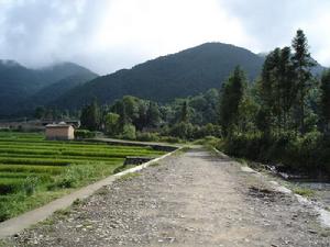 進村道路