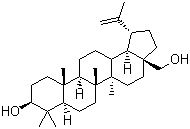 白樺樹醇