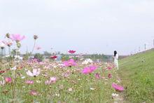 綠島湖濕地公園