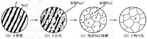 共析碳鋼的奧氏體形成過程