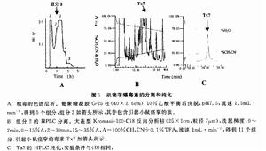 織錦芋螺毒素分離與純化