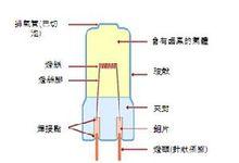 鹵素燈結構圖