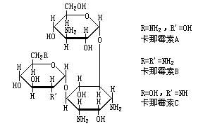 巴龍黴素