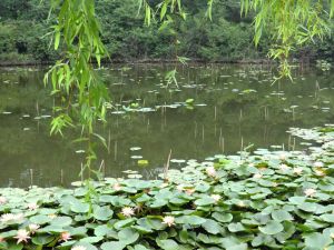 雲溪生態公園