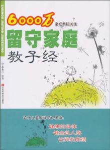 6000萬家庭共同關注:留守家庭教子經