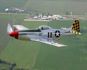 p51