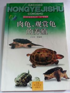 肉龜、觀賞龜的養殖