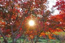 鹽城鹽瀆公園高清組圖2