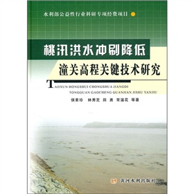 桃汛洪水沖刷降低潼關高程關鍵技術研究