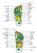 電動洗腳盆按摩腳底各個穴位