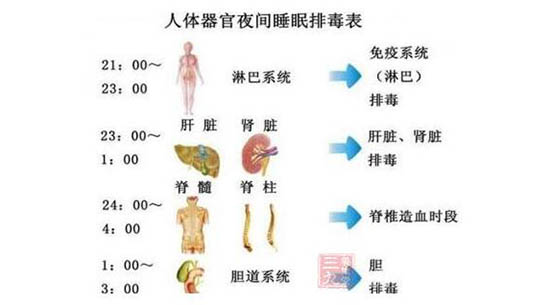 排毒時間表