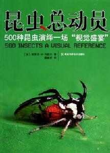 昆蟲總動員：500種昆蟲演繹一場“視覺盛宴”