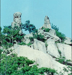 豐臺鷹山森林公園