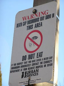 在澳洲坎培拉的警告牌