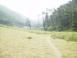 春東村委會老屋基自然村道路