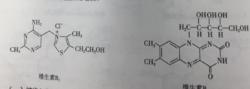 維生素B1/B2的結構