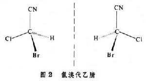 手征性