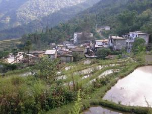 登雲新寨村村貌