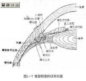 眼球乾燥症