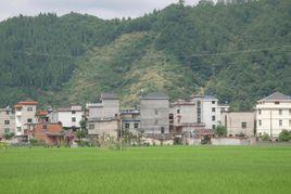 上街自然村[雲南昭通鎮雄縣芒部鎮松林村委會上街自然村]